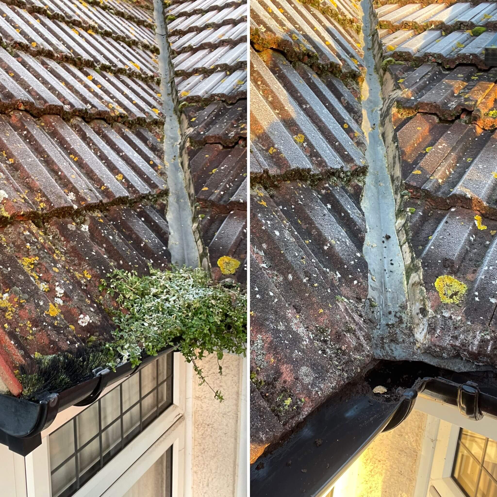 Roof Cleaning in Bromley