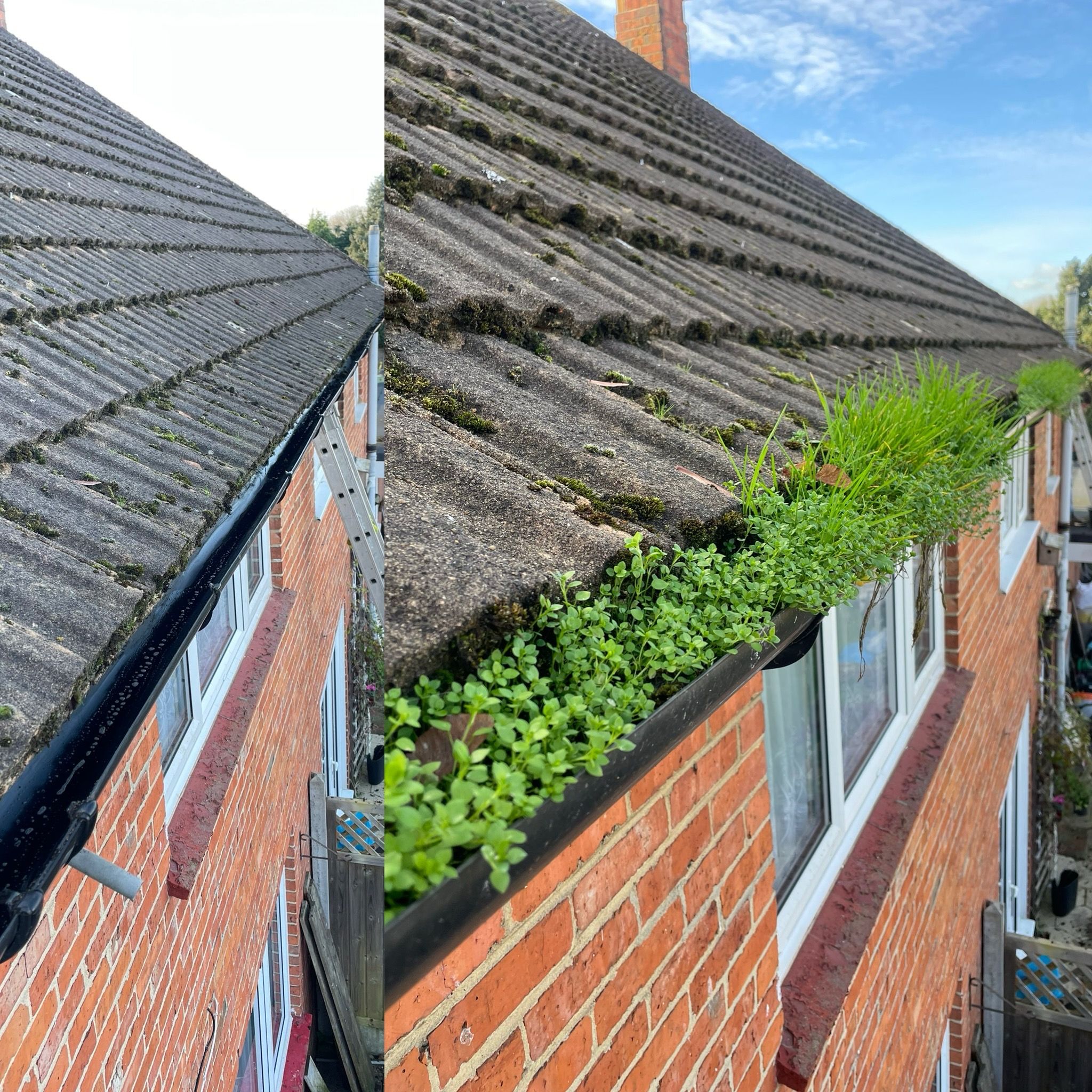 Gutter cleaning