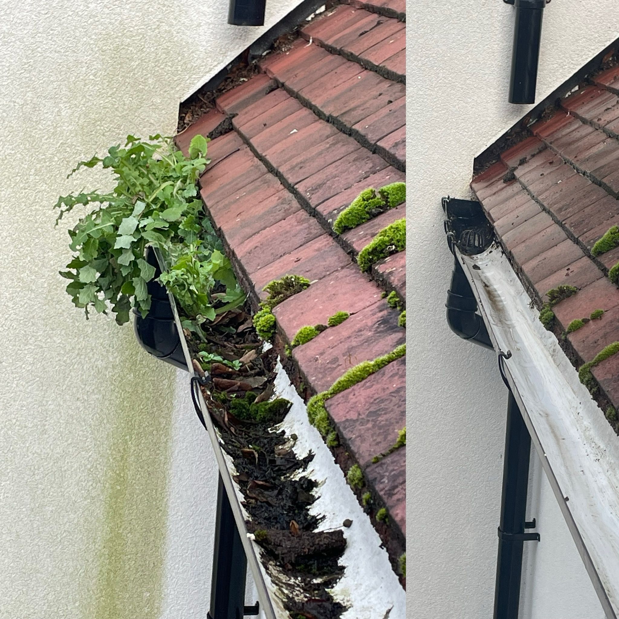 Gutter cleaning